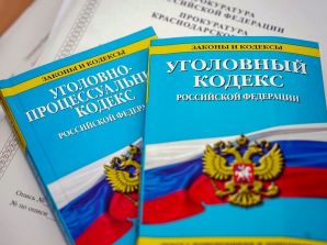 В Нижегородской области возбуждено уголовное дело за экстремизм